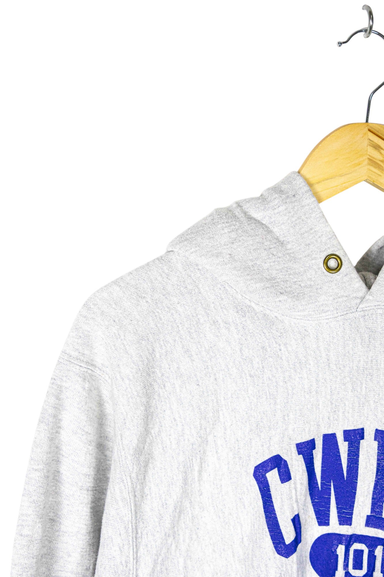 Champion CWRU Athletics Hoodie
