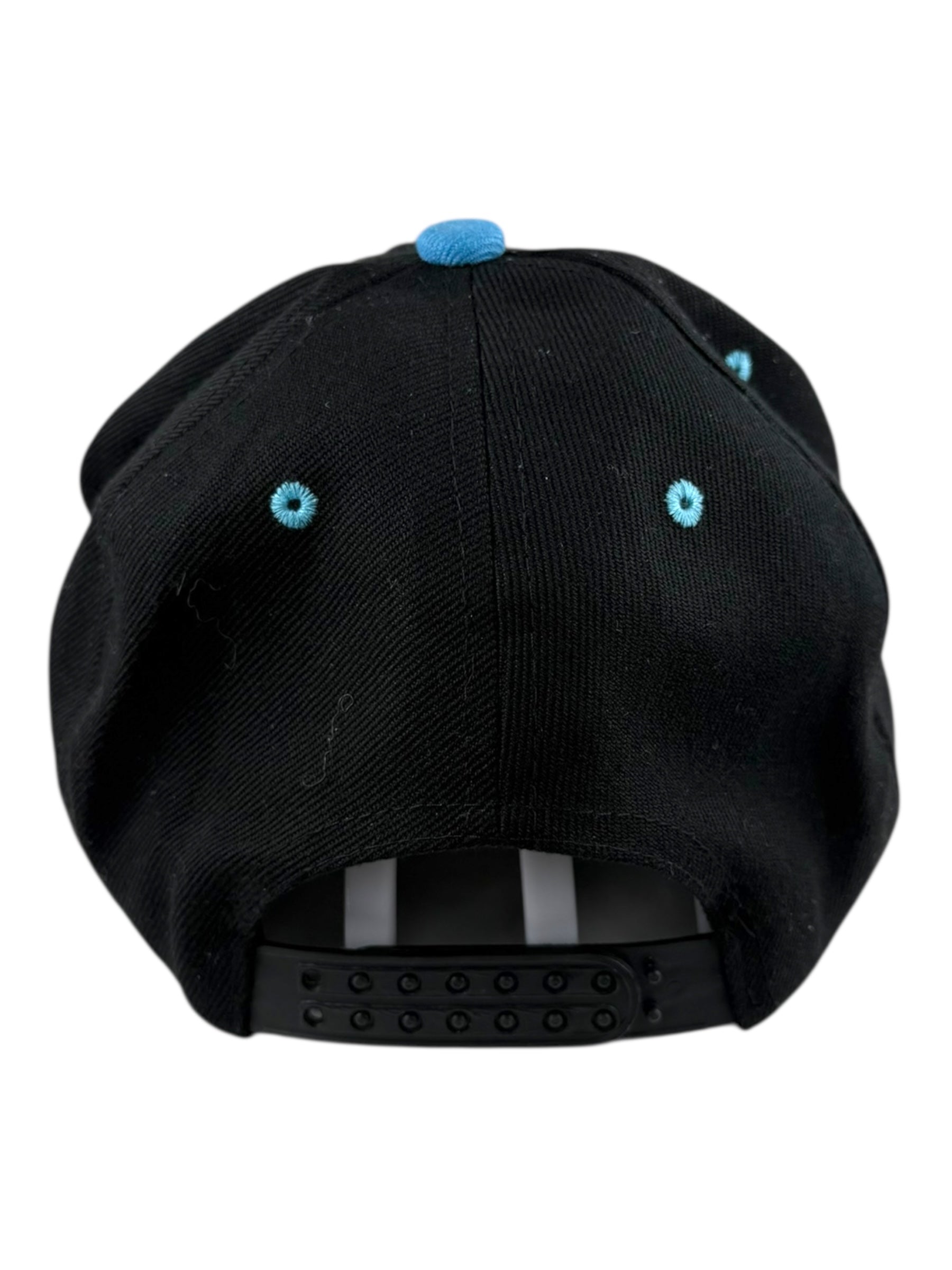 Blue Phoenix Adjustable Snapback Cap